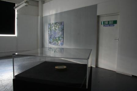 Installation view.